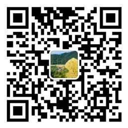 乐发VIII彩票登录入口